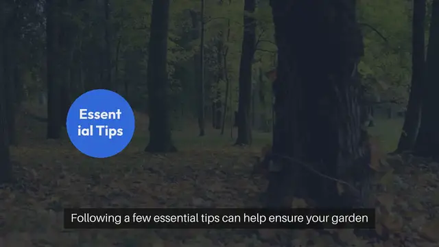 Video thumbnail for Outdoor Gardening Tips for Autumn