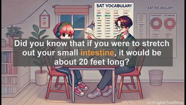 Video thumbnail for 5000 Must Know SAT Vocabulary - Understanding 'Intestine': SAT Vocabulary Explained