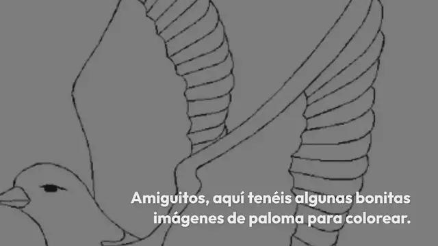 Video thumbnail for Paloma para colorear