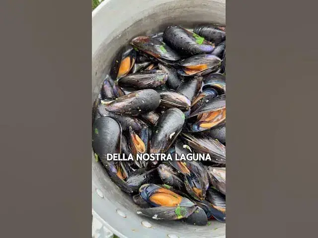 Video thumbnail for Come nasce una cozza di qualità?