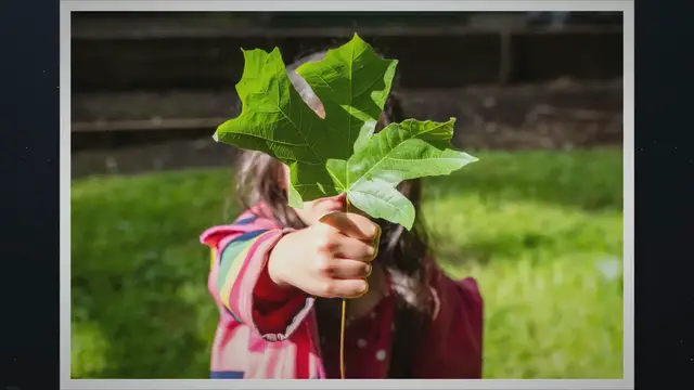 'Video thumbnail for Conserve the Environment'