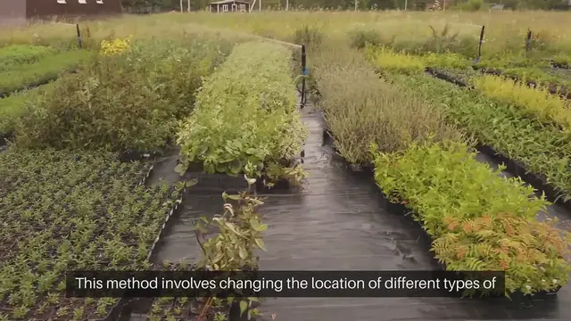 Video thumbnail for Rotate Garden Crops Annually