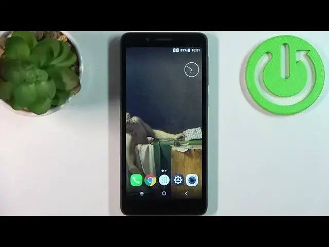 'Video thumbnail for How to Reset Network Preferences on ALCATEL 1C (2019)'