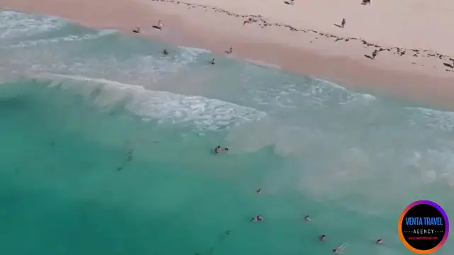 'Video thumbnail for PUNTA CANA EL DESTINO TURÍSTICO FAVORITO DE LOS CUBANOS...'
