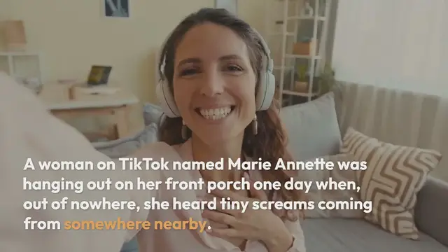 Video thumbnail for Woman Relaxing On Her Deck Hears Tiny Screams Coming From The Bushes