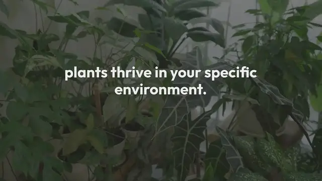 Video thumbnail for How to Choose the Best Indoor Plant Varieties