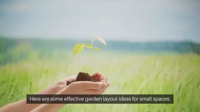 Video thumbnail for How To Grow Radishes In Containers