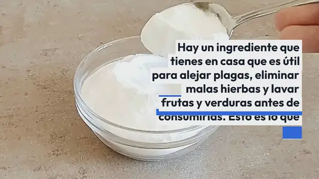 'Video thumbnail for Ahuyenta fácilmente las plagas, elimina las malas hierbas y lava perfectamente las frutas'