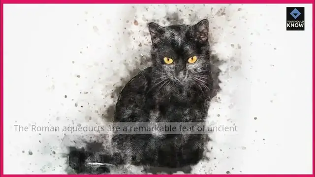 Video thumbnail for Top 10 Civil Engineering Marvels That Stand the Test of Time