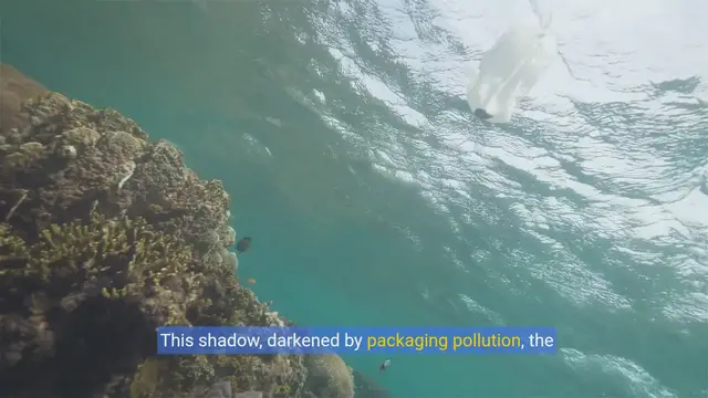 Video thumbnail for Green Your Cart:Eco-Friendly Shopping Tips for Beginners