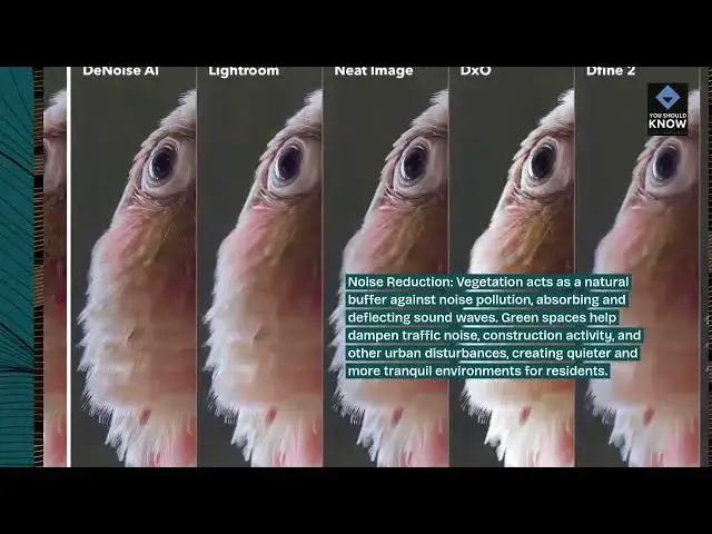 Video thumbnail for Top 10 Benefits of Urban Green Spaces