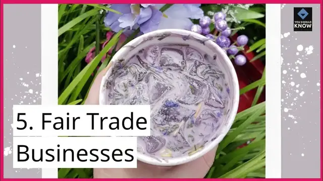 Video thumbnail for Top 10 Innovative Business Models Driving Social Impact