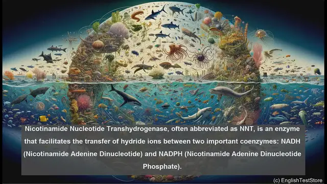 Video thumbnail for Nicotinamide nucleotide transhydrogenase in biology
