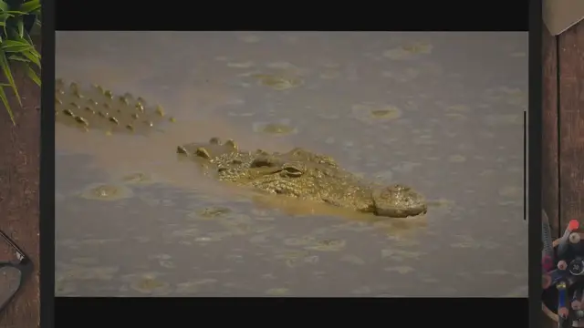 Video thumbnail for What Lives in Florida Canals?