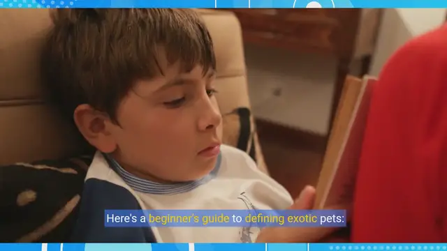 Video thumbnail for Beginner's Guide to Exotic Pets: What You Need to Know