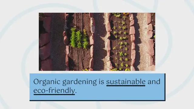 Video thumbnail for Organic Gardening Tips for Raised Beds