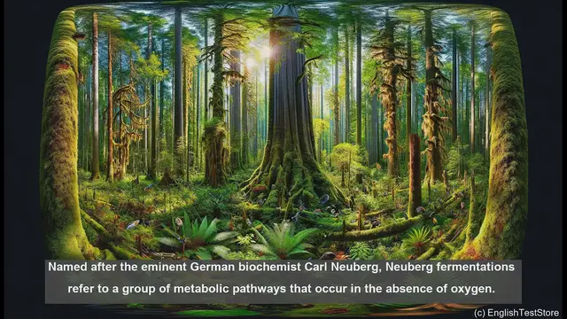 Video thumbnail for Neuberg fermentations in biology