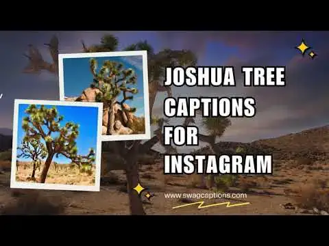 Video thumbnail for Joshua Tree Captions For Instagram
