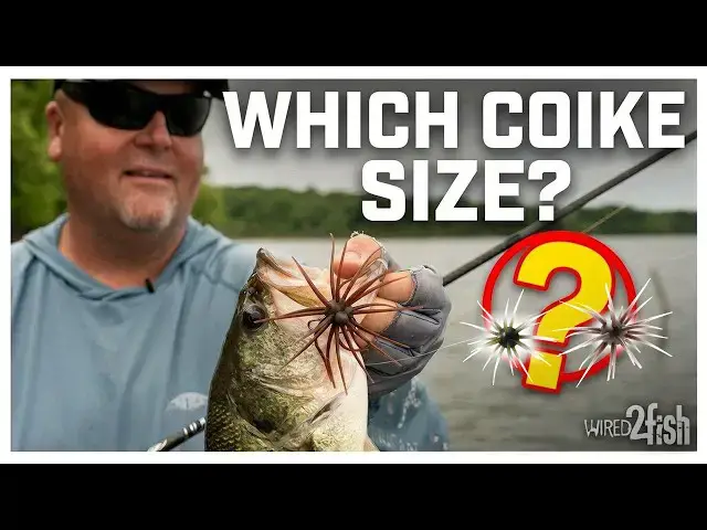 Video thumbnail for Coike Bass Fishing: Which Size Should You Fish?