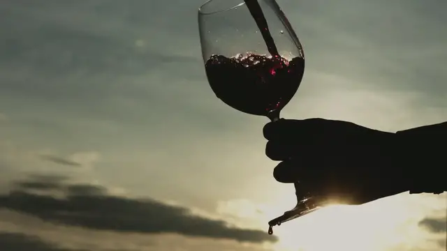Video thumbnail for Wine Tasting Guide for Beginners: Explore and Savor