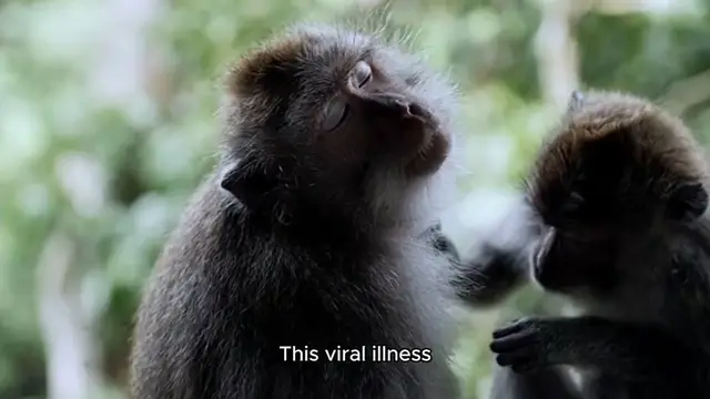 Video thumbnail for africa mpox outbreak