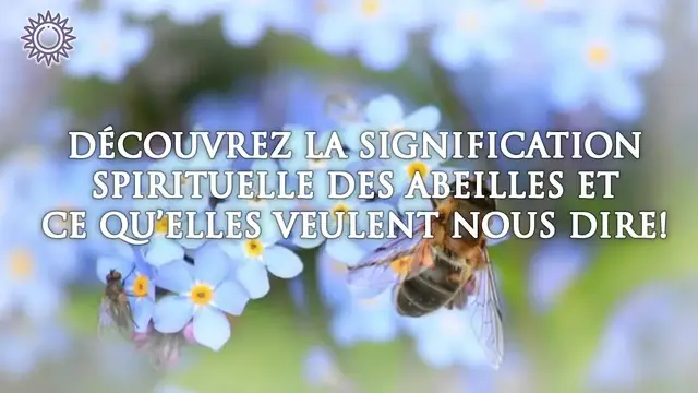 Video thumbnail for 🐝 DÉCOUVREZ LA SIGNIFICATION SPIRITUELLE DES ABEILLES ET CE QU'ELLES VEULENT NOUS DIRE !