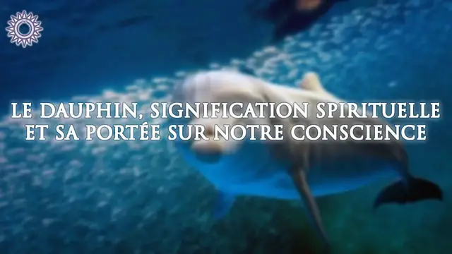 Video thumbnail for 🐬 LE DAUPHIN, SIGNIFICATION SPIRITUELLE ET SA PORTÉE SUR NOTRE CONSCIENCE