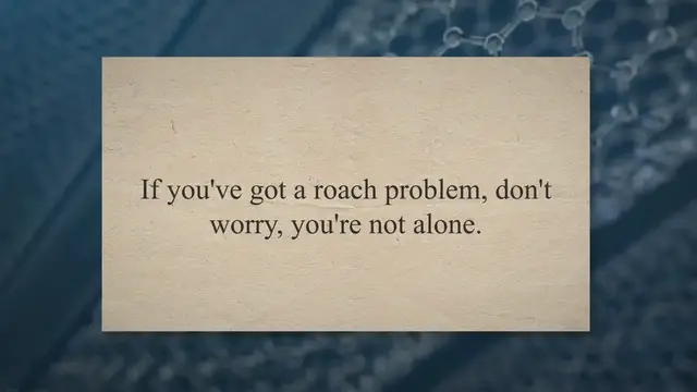 Video thumbnail for The 5 Best Ways to Get Rid of Cockroaches in Your House