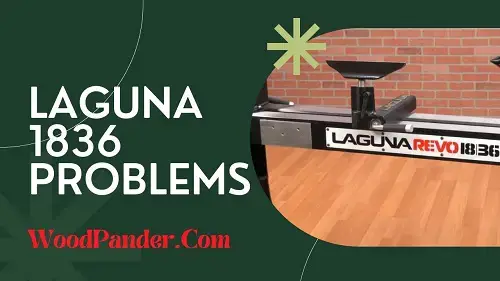 Video thumbnail for Laguna 1836 Problems, Reasons & Solutions