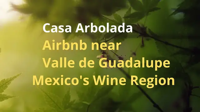 'Video thumbnail for Airbnb near the Wine Region of Mexico / Ensenada / Casa ArboladaCasa Arbolada Ingles'