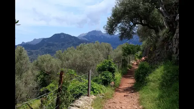 Video thumbnail for Wanderung Port de Sóller - Sóller