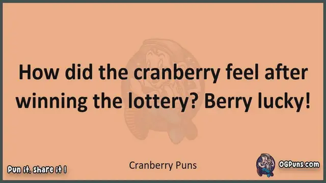 Video thumbnail for Cranberry - Jokes, Puns, Wordplays, and Laughter