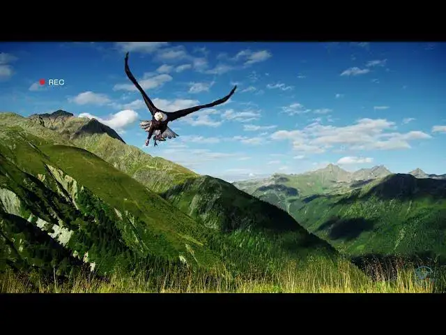 Video thumbnail for Eagles in Idaho: A Closer Look