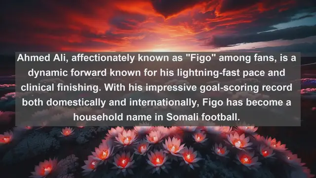 Video thumbnail for Rising Stars: Top 10 Famous Football Players in Somalia