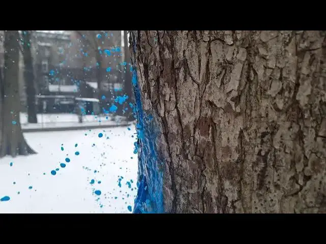 Video thumbnail for Balloon with Water and Paint in Slow Motion - Samsung Galaxy S21+ Super Slow Motion HD 30FPS