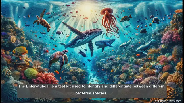 Video thumbnail for Enterotube II in biology - meaning, definition and examples