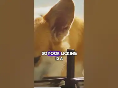 'Video thumbnail for Self-grooming'