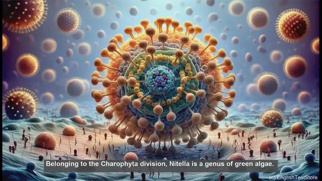 Video thumbnail for Nitella in biology
