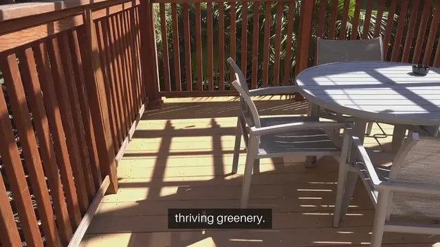 Video thumbnail for Best Plants for Shade on Your Patio