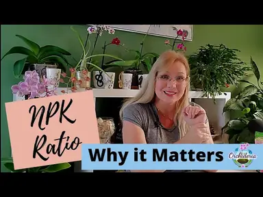 'Video thumbnail for NPK Ratio for Orchids - What it is & Why it Matters'