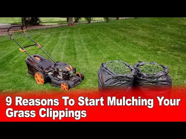 Video thumbnail for 9 Reasons To Start Mulching Your Grass Clippings