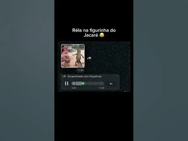 Video thumbnail for se liga na figurinha #videosengracados #videoshort #memes