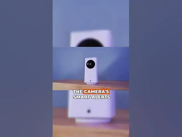 Video thumbnail for Roku's Powerful 360 Degree Indoor Camera Revealed!