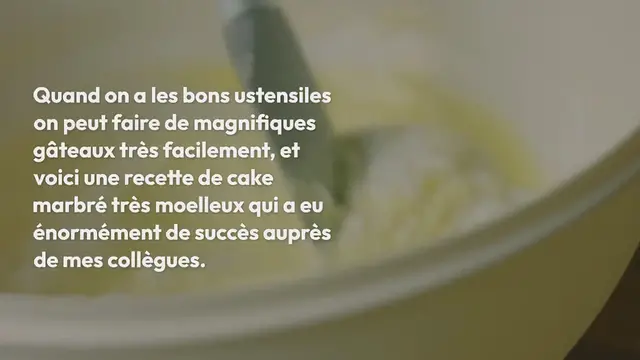 Video thumbnail for Cake marbré moelleux aux deux chocolats