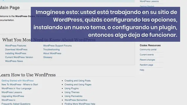 Video thumbnail for Soporte para WordPress: ¿Cómo Encontrarlo y Sacarle Todo el Provecho?
