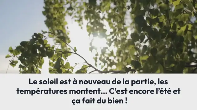 Video thumbnail for Gaspacho de pastèque & framboise, pesto de menthe