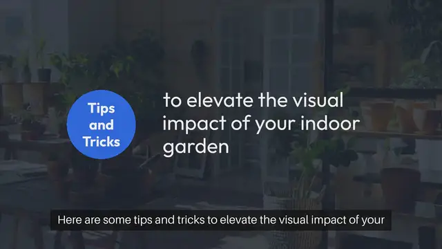 Video thumbnail for The Art of Indoor Gardening Aesthetic Tips and Tricks