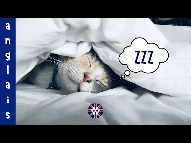 'Video thumbnail for 30 phrases et questions en anglais : Le matin | Écoutez quelques phrases courantes liées au matin'