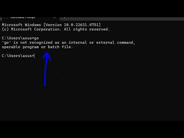 Video thumbnail for [Solved] (Golang) Go is not recognized as an internal and external command Error