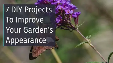 'Video thumbnail for 7 Quick And Easy DIY Projects To Improve Your Garden's Appearance'